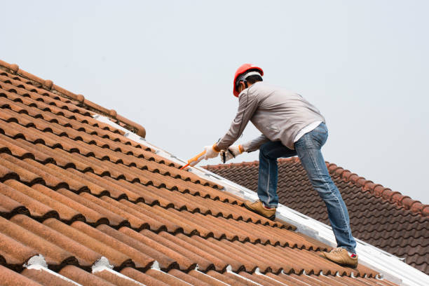 Gutter Replacement in Privateer, SC